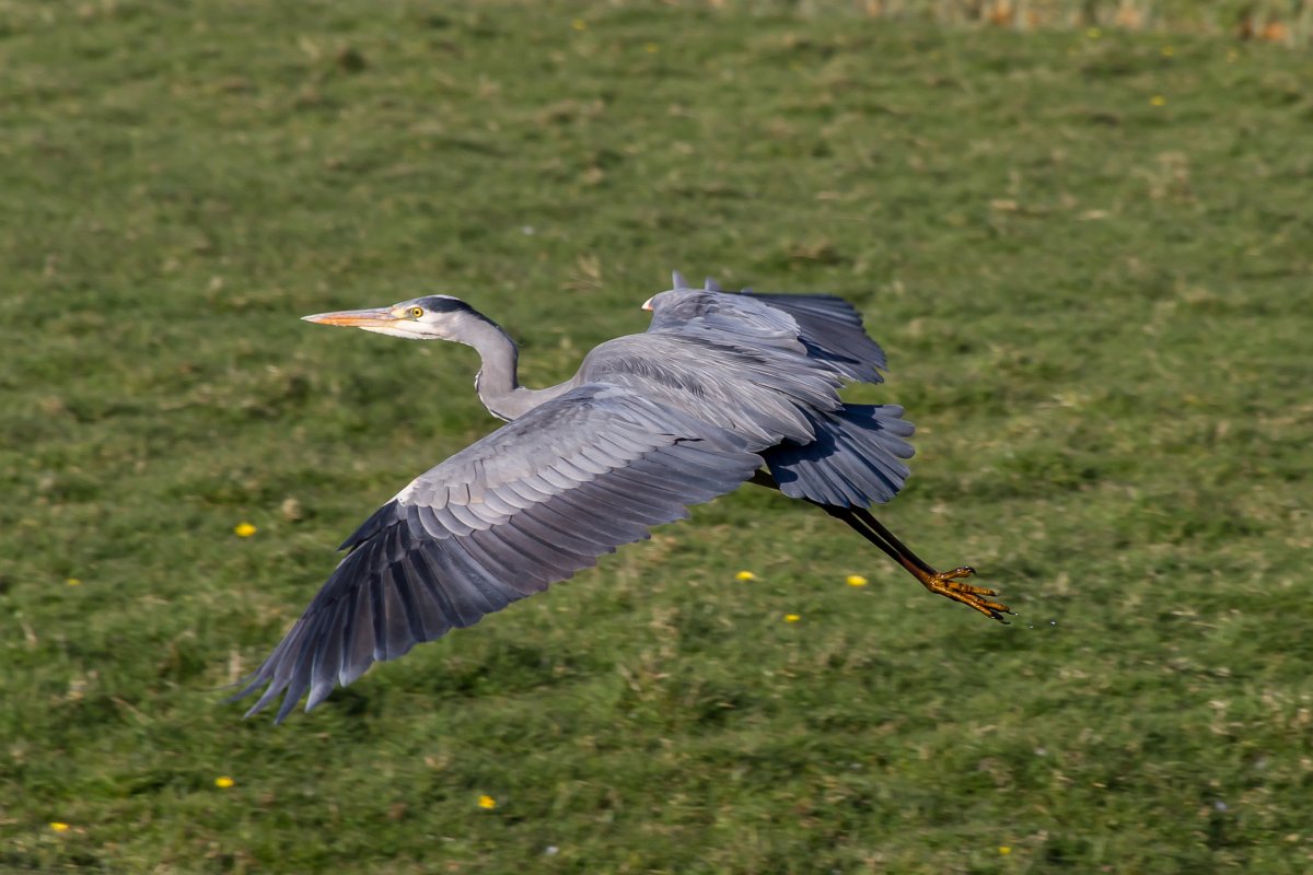 foto: [20200324PV0582]